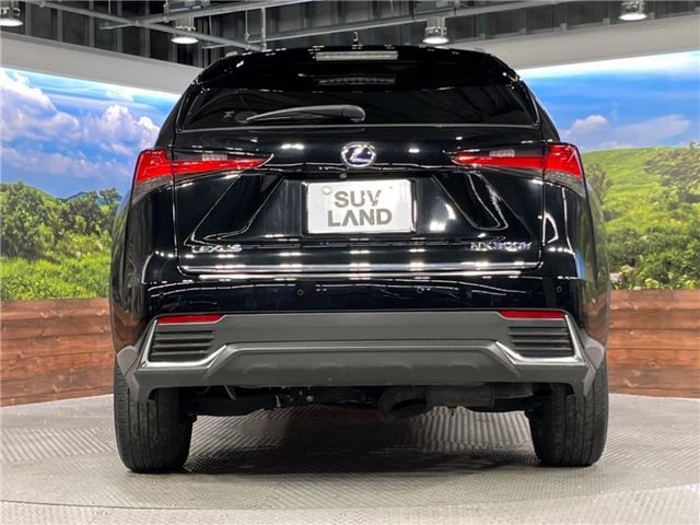صورة 16 لـ 2019 Lexus NX