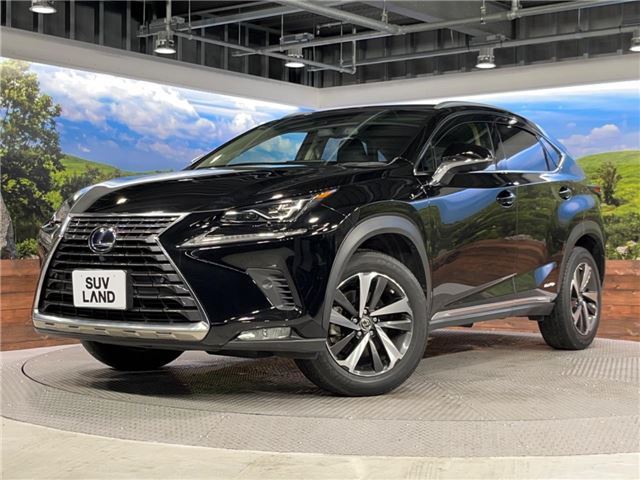 صورة 6 لـ 2019 Lexus NX