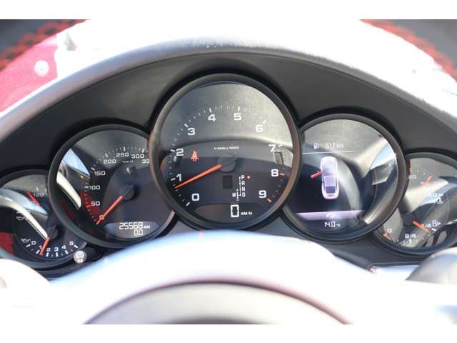 2015 Porsche CARRERA GT 照片 5