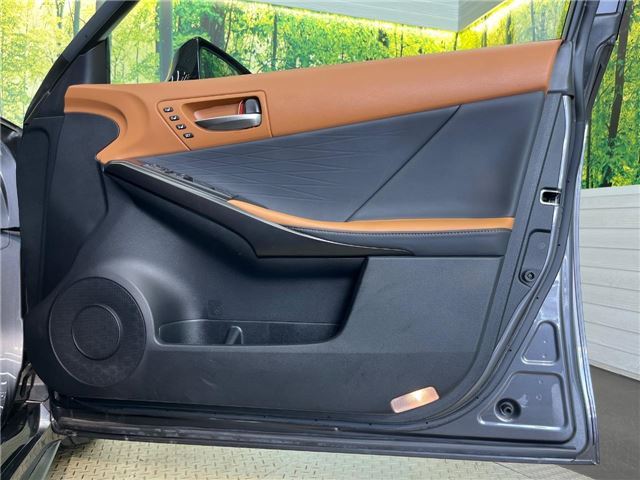 2022 Lexus IS — миниатюра 14