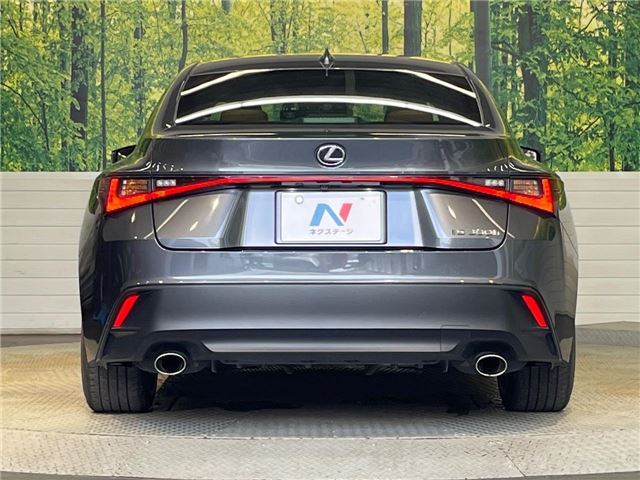 2022 Lexus IS photo 9