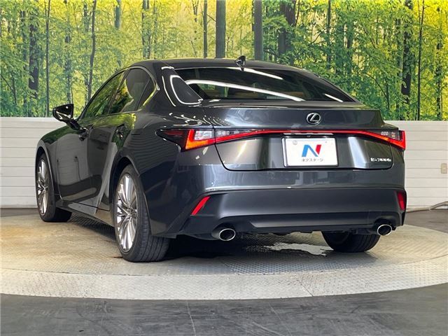 2022 Lexus IS photo 8