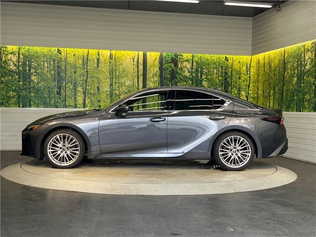 2022 Lexus IS photo 7
