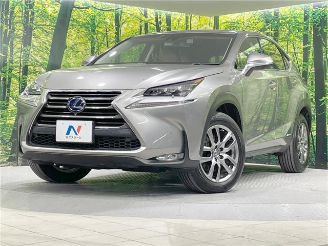 2014 Lexus NX — фото 1