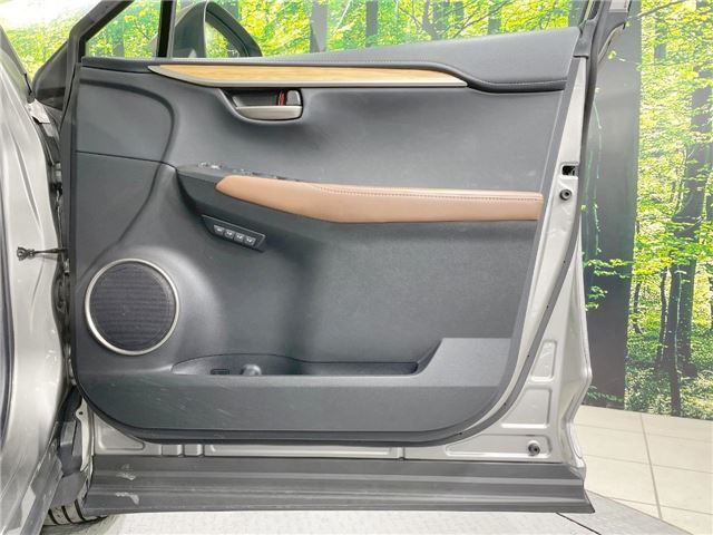 2014 Lexus NX — миниатюра 17