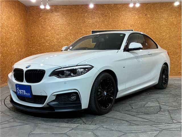 2019 BMW 2 SERIES COUPE — фото 1