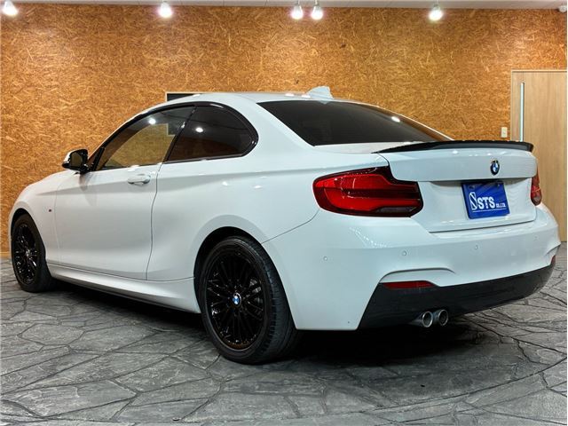 2019 BMW 2 SERIES COUPE — фото 3