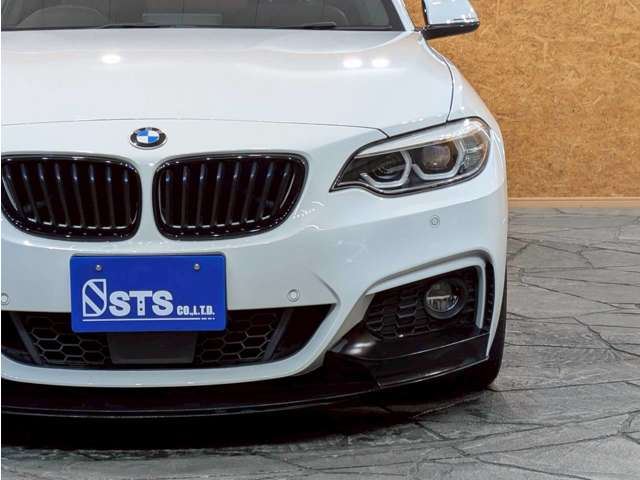 2019 BMW 2 SERIES COUPE — фото 12