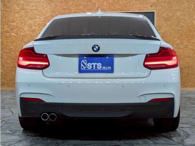 2019 BMW 2 SERIES COUPE — фото 13
