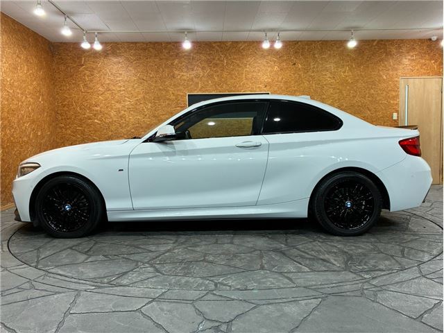 2019 BMW 2 SERIES COUPE — фото 2