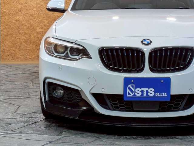 2019 BMW 2 SERIES COUPE — фото 11