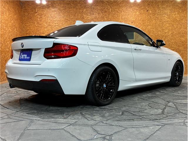 2019 BMW 2 SERIES COUPE — фото 8