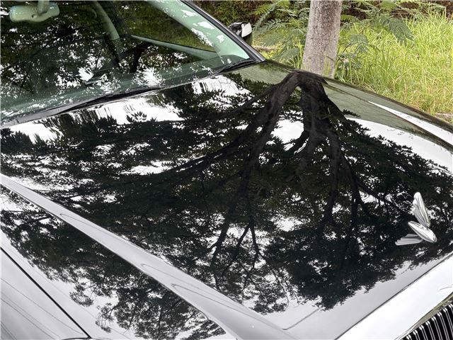 صورة مصغرة 11 لـ 2006 Nissan PRESIDENT