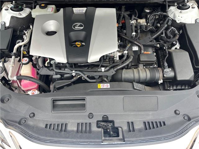 2019 Lexus ES thumbnail 24