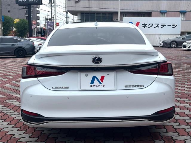 2019 Lexus ES photo 8