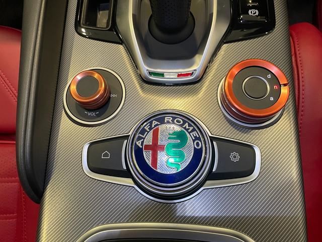2023 ALFA Romeo JULIA 缩略图 48