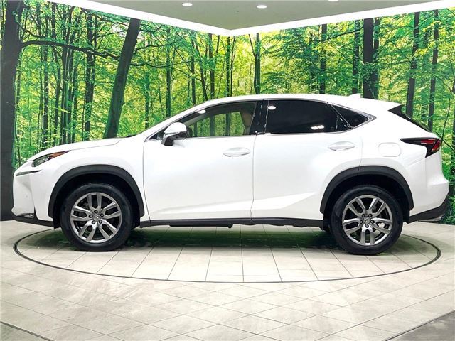 2014 Lexus NX 缩略图 11