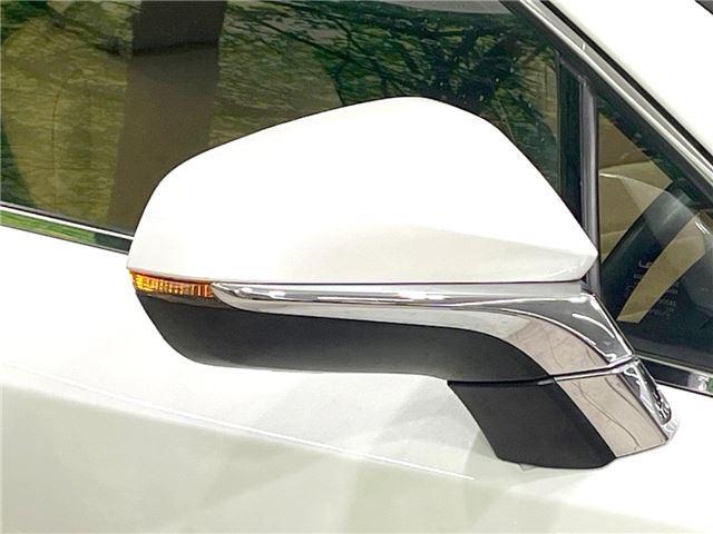 2014 Lexus NX 缩略图 18