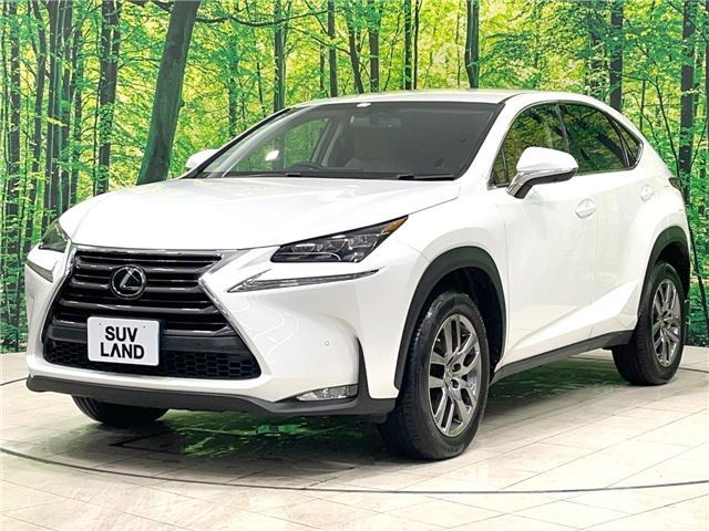2014 Lexus NX — фото 10