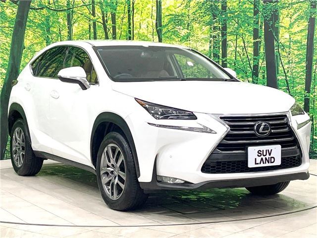 2014 Lexus NX — фото 8