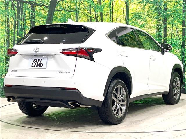 2014 Lexus NX — фото 6