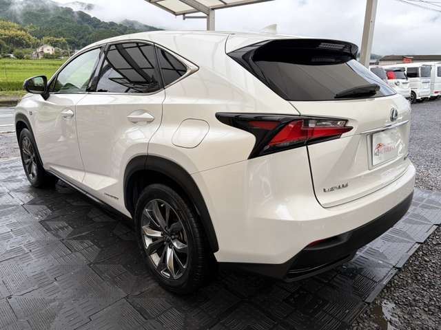 2014 Lexus NX — фото 2