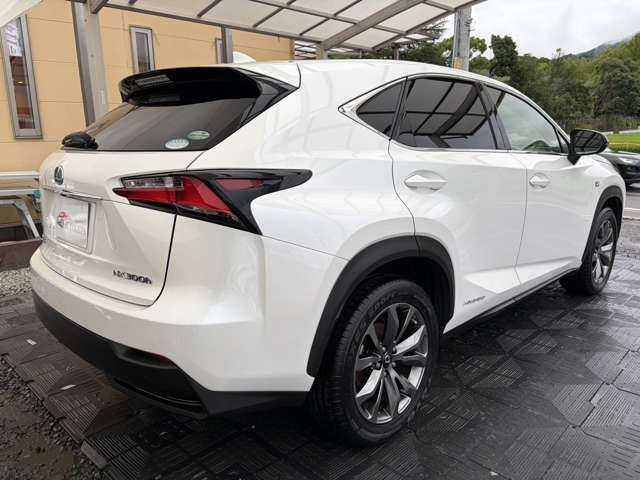 صورة مصغرة 49 لـ 2014 Lexus NX