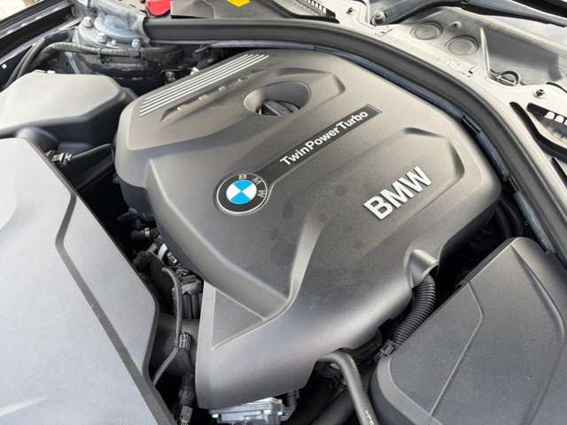 2018 BMW 4 SERIES GRAN COUPE — миниатюра 61