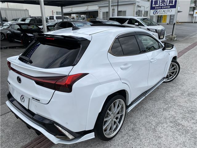 2018 Lexus UX — миниатюра 12