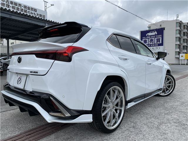 2018 Lexus UX — миниатюра 13