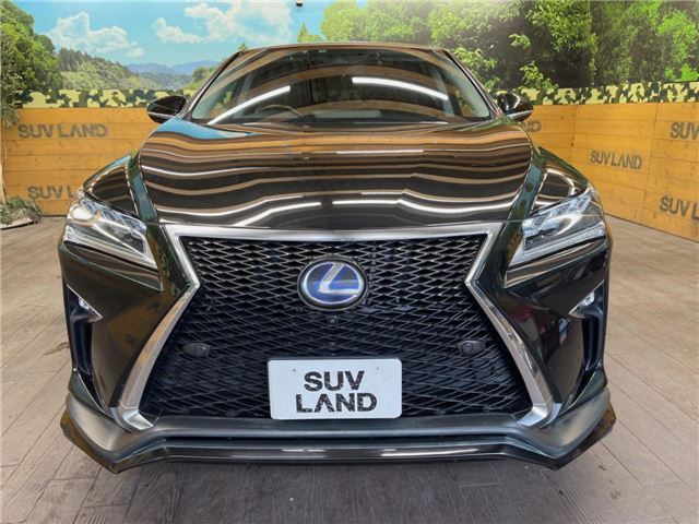 صورة مصغرة 19 لـ 2016 Lexus RX