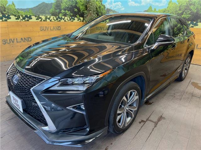 صورة مصغرة 21 لـ 2016 Lexus RX