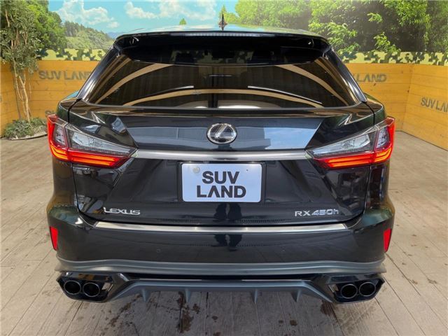 صورة مصغرة 24 لـ 2016 Lexus RX