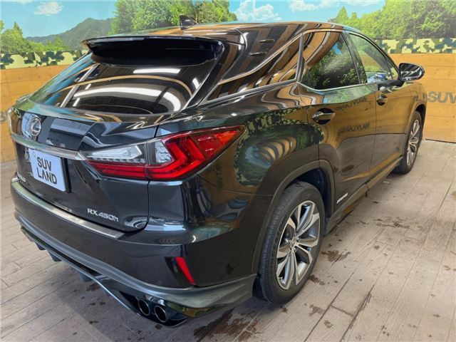 صورة مصغرة 27 لـ 2016 Lexus RX