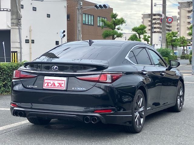 2019 Lexus ES photo 2