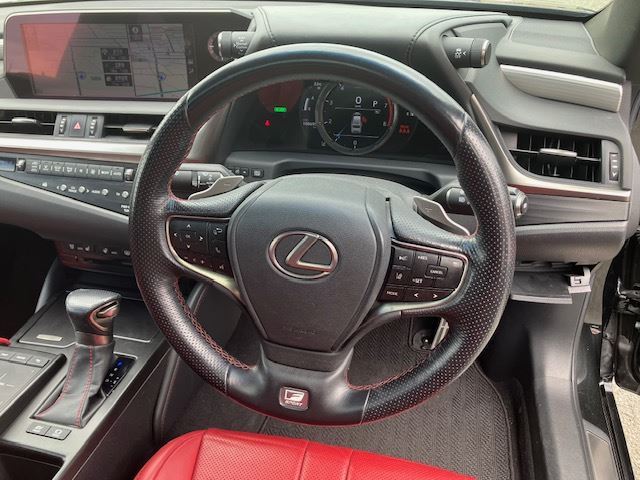 2019 Lexus ES thumbnail 11
