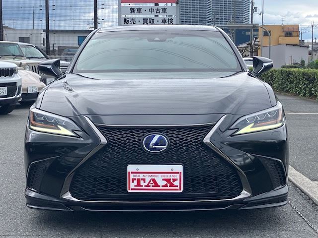 2019 Lexus ES thumbnail 19
