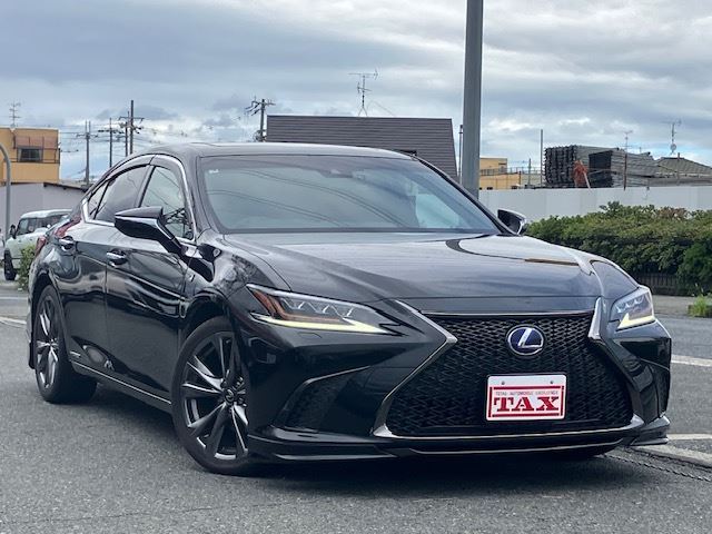 2019 Lexus ES thumbnail 20