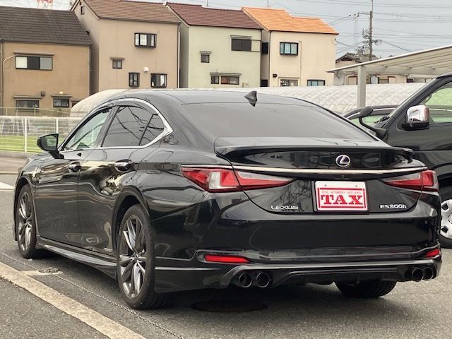 2019 Lexus ES thumbnail 22