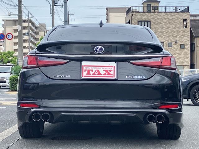2019 Lexus ES thumbnail 24