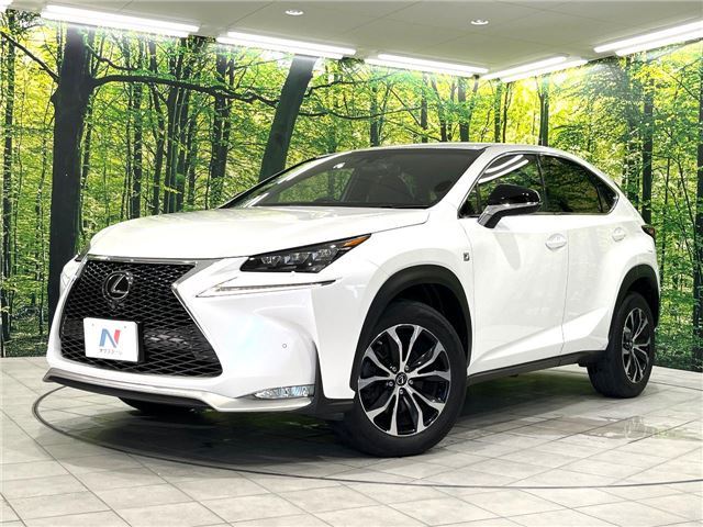 2014 Lexus NX — фото 1