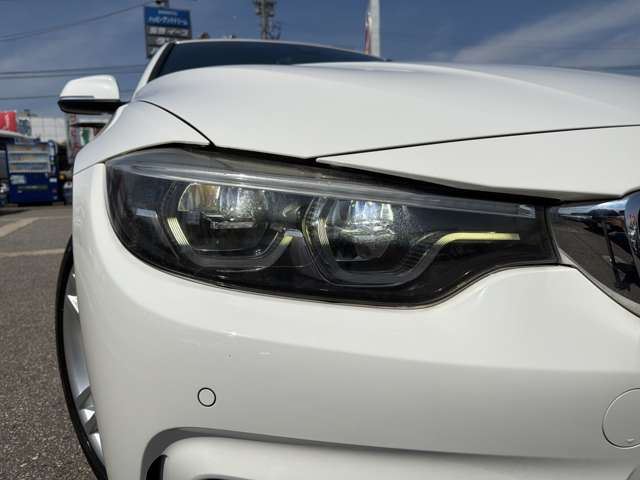 2017 BMW 4 SERIES GRAN COUPE — миниатюра 48