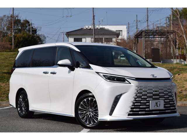 2025 Lexus LM photo 1