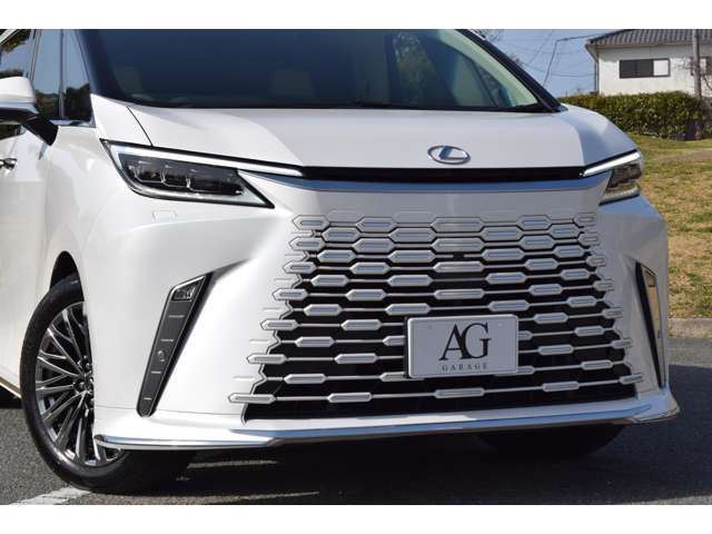 2025 Lexus LM thumbnail 14