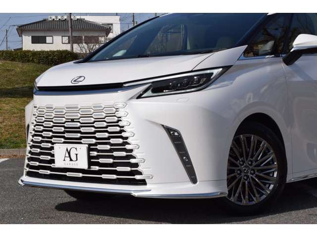 2025 Lexus LM thumbnail 11