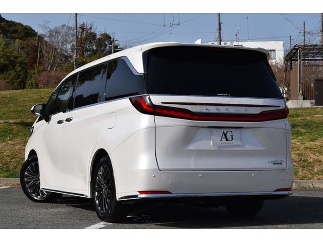 2025 Lexus LM thumbnail 20