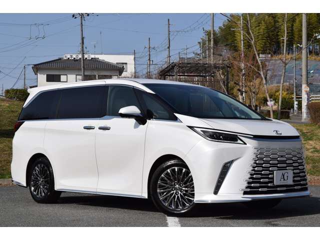 2025 Lexus LM thumbnail 28