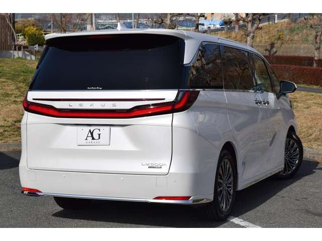 2025 Lexus LM thumbnail 30