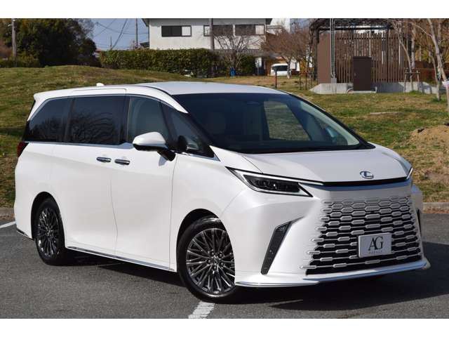 2025 Lexus LM photo 10