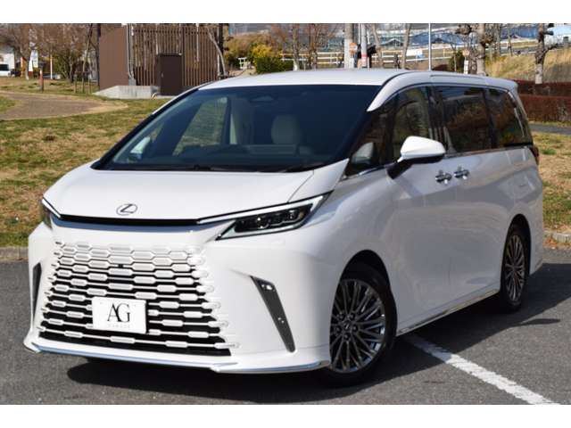 2025 Lexus LM photo 7